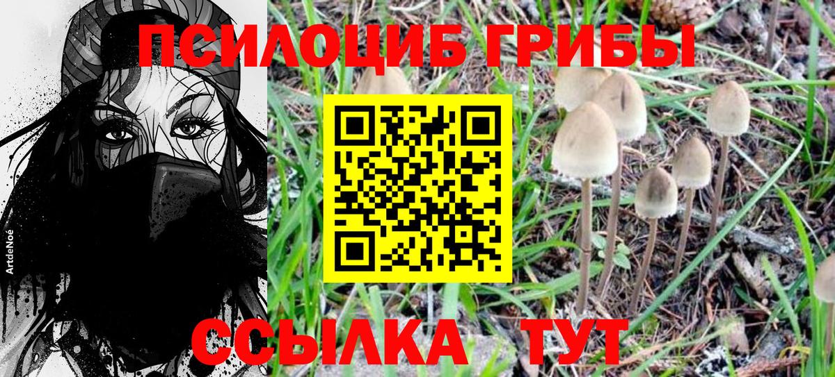 Псилоцибиновые грибы MAGIC MUSHROOMS  как найти закладки  Чебаркуль  Вход с VPN  Галлюциногенные грибы MAGIC MUSHROOMS 